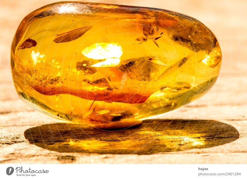Amber with inclusions Nature Fashion Old Yellow Inclusion Precious stone luminescent sunny Brilliant Mystic Baltic Resin Sun Shadow Colour photo Exterior shot