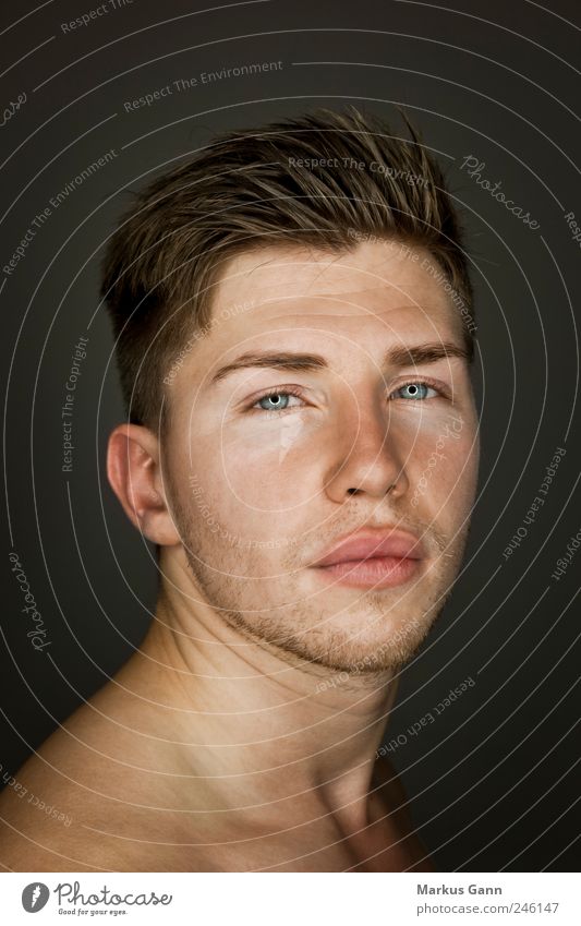 Portrait on Blue Eyed Attractive Man Stock Image - Image of face
