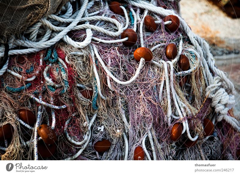 the network collapses Summer Fishery Fishing net Fishing port Rope Beautiful weather Harbour Net Multicoloured Arrangement Chaos Orderliness Exterior shot