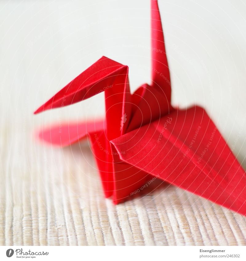 crane Animal Crane 1 Esthetic Sharp-edged Bright Red Origami Arts and crafts  Wing Beak Paper paper crane Japanese longevity Handicraft Fun with handicrafts