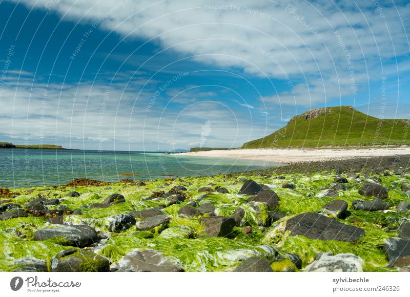 Scotland III Environment Nature Landscape Sand Water Sky Clouds Summer Climate Beautiful weather Plant Hill Mountain Coast Beach Bay Ocean Blue Green