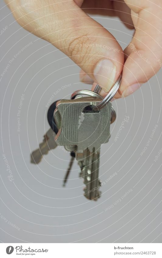 bunch of keys Man Adults Hand Fingers Key Select Utilize To hold on Undo Colour photo Interior shot Close-up Downward