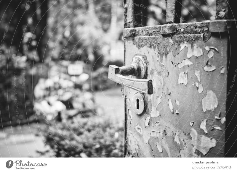 elapsed Nature Berlin-Friedenau Park Door Gate Door handle Metal Rust Old Dirty Sharp-edged Creepy End Transience Derelict Cemetery Black & white photo
