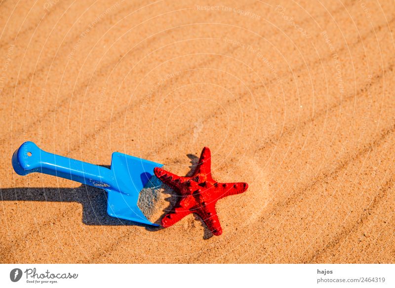 Sandy beach with toy shovel and starfish Joy Relaxation Vacation & Travel Summer Beach Child Baltic Sea Ocean Yellow Tourism Shovel Blue Toys Starfish