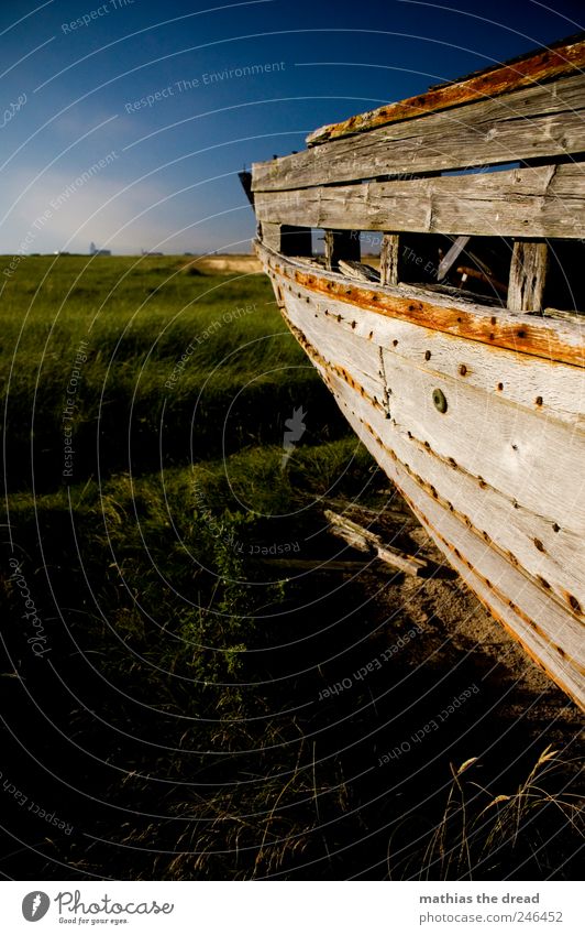 DENMARK XVII Environment Nature Landscape Sky Clouds Horizon Summer Beautiful weather Plant Grass Bushes Meadow Navigation Fishing boat Old Exceptional