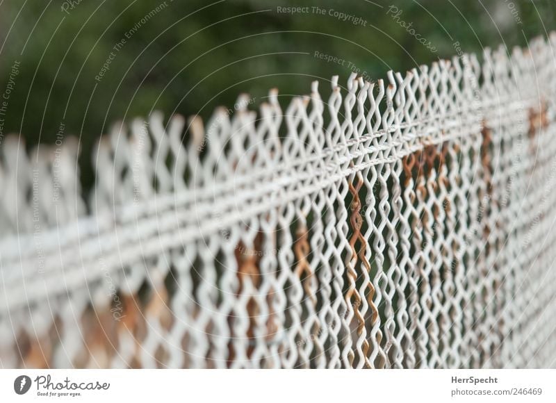 XXXXXXXXXXXXXXXXXXXXXXXXXX Fence Wire netting fence Wire fence Old Brown White Rust Colour photo Subdued colour Exterior shot Pattern Structures and shapes
