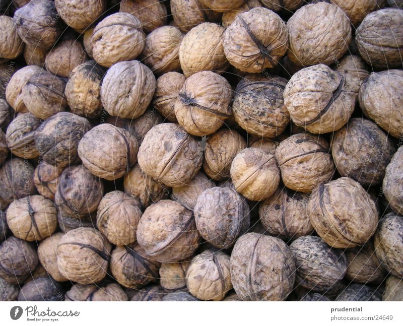 walnut Autumn Brown Nutrition Walnut Nature