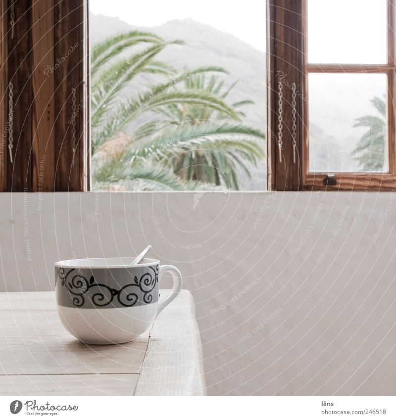 coffee break Coffee Cup Vacation home Table Room Calm Window Open Palm tree Gomera Colour photo Interior shot Deserted Copy Space right Day