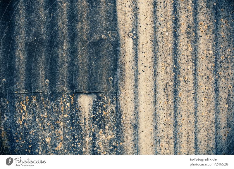 United States of Corrugated Iron Wall (barrier) Wall (building) Facade Roof Gray Concrete Dirty eternite fibre concrete Lichen Line Silicate mineral Stripe