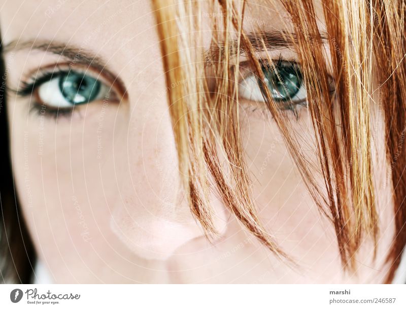 magnetic Human being Feminine Woman Adults Skin Face Eyes 1 Hair and hairstyles Blue Looking Forward Looking into the camera Red-haired Intensive Magnetic