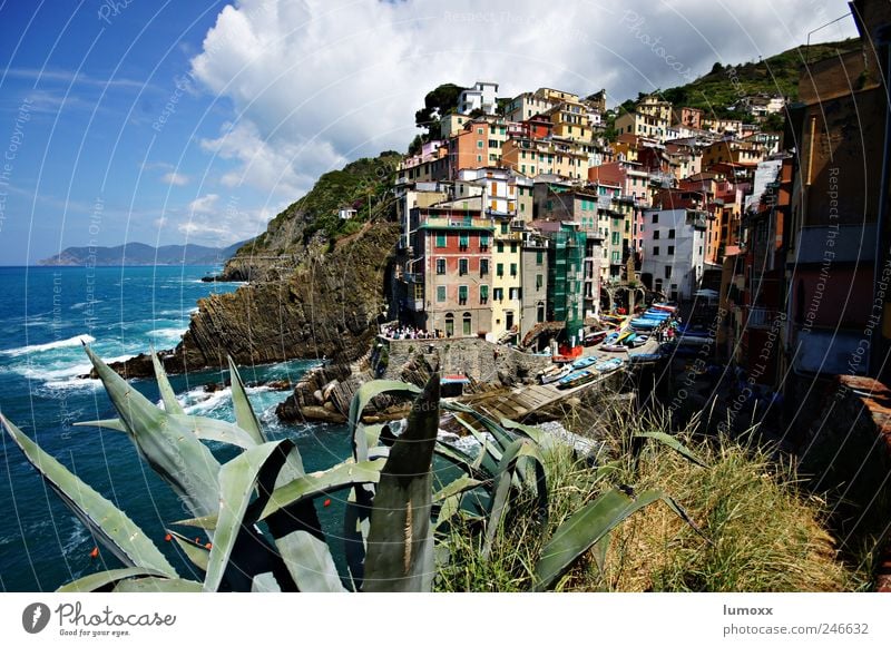 RIOMAGGIORE Vacation & Travel Tourism Trip Far-off places Sightseeing Living or residing Nature Water Clouds Sunlight Summer Aloe Waves Coast Bay Ocean