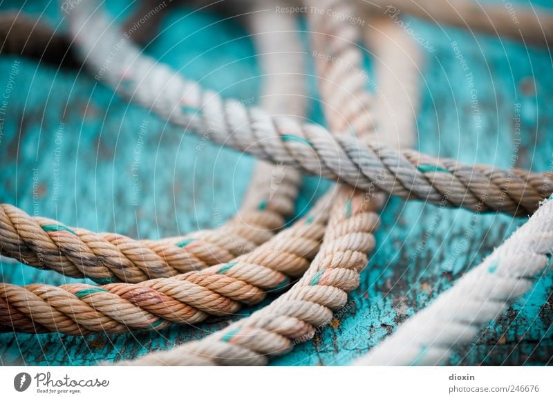 Rope team *2* Navigation Fishing boat On board Deck Old Lie Authentic Colour Decline Transience Connection String Spar varnish Flake off Colour photo