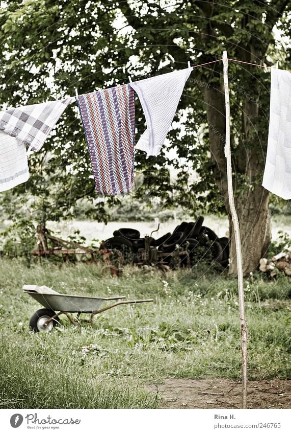 Country Life II Landscape Plant Summer Tree Meadow Hang Authentic Cleanliness Purity Laundry Clothesline Dry Wheelbarrow Car tire Towel Subdued colour