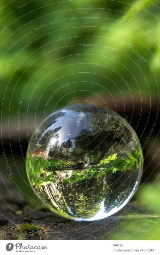 Spring water against gravity Life Harmonious Nature Water Well Glass Sphere Spherical Lie Green Power Hope Refreshment Glass ball Clarity Transparent Round
