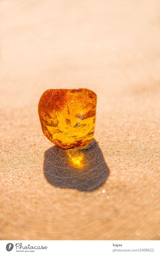 Amber with inclusions Nature Fashion Bright Beautiful Yellow luminescent Brilliant Beach Inclusion Mystic Stone Harz Old find lithotherapy curative transparent