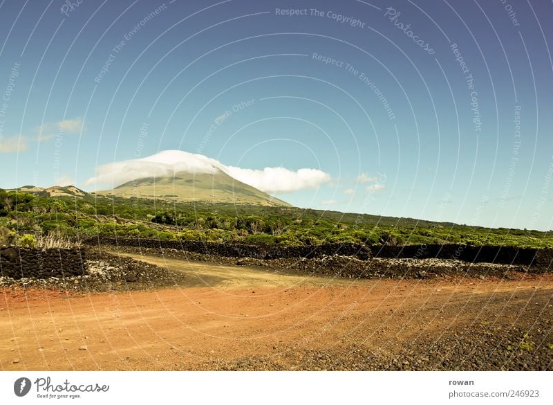 pico Environment Nature Landscape Plant Earth Summer Beautiful weather Field Hill Mountain Hot Bright Street Sand Pico Azores Gravel Colour photo Exterior shot