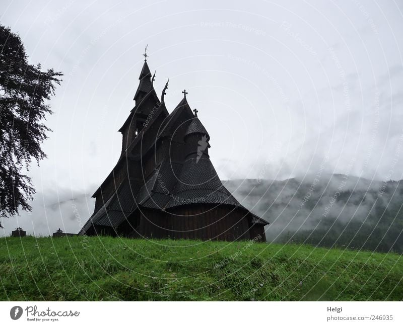 mysterious... Vacation & Travel Tourism Sightseeing Summer Mountain Nature Bad weather Fog Tree Grass Norway Village Church Manmade structures Architecture
