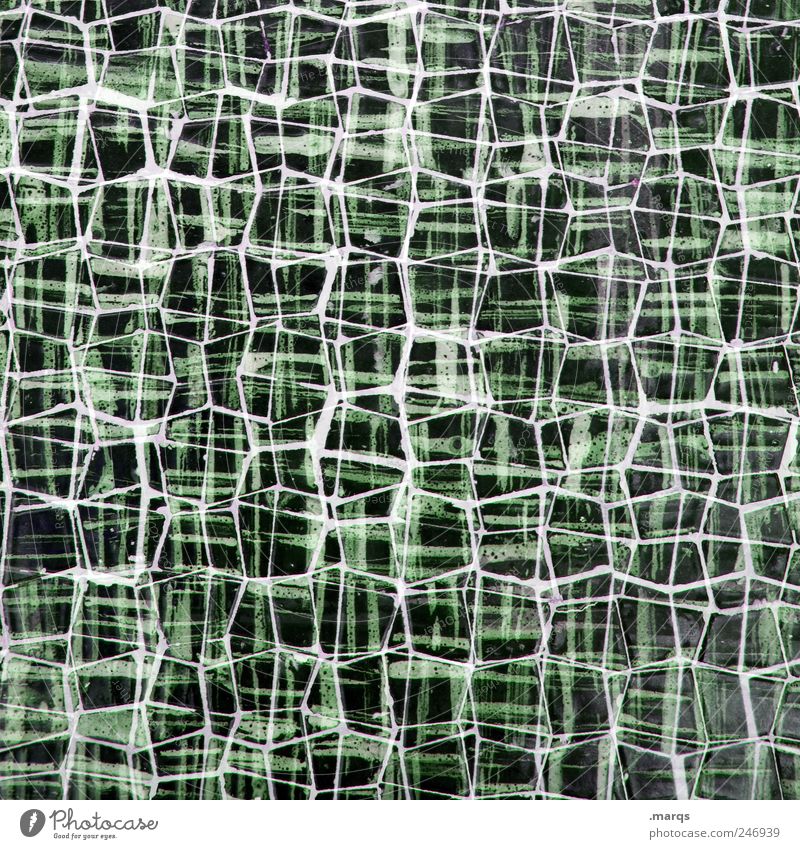 net Style Design Wall (barrier) Wall (building) Sign Line Network Exceptional Many Crazy Green Chaos Uniqueness Connect Connection Mosaic Colour photo Close-up