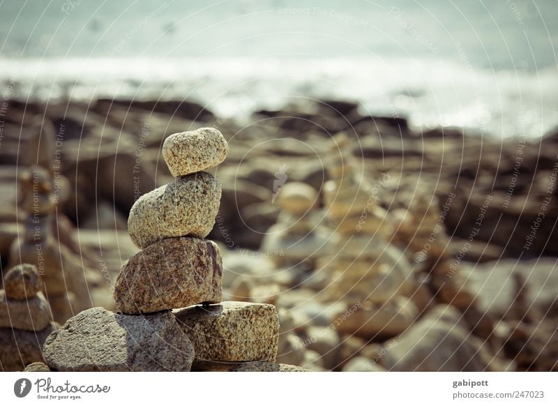 Stacking stones Leisure and hobbies Playing Landscape Elements Summer Beautiful weather Coast Ocean Stone Disciplined Endurance Unwavering Contentment Accuracy