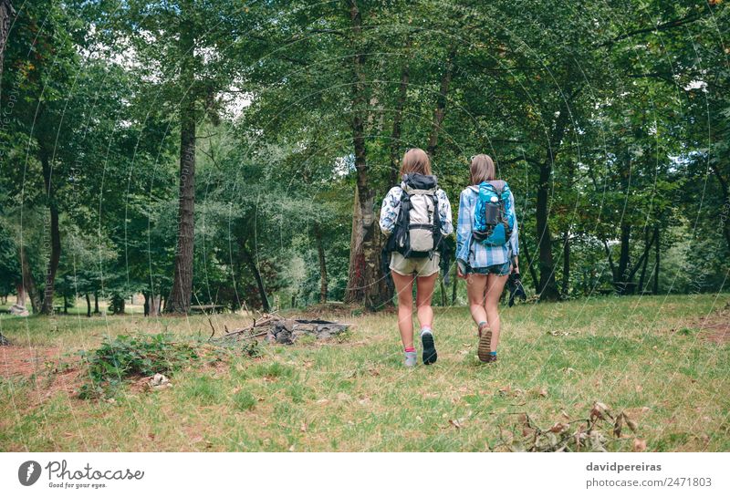 Two women friends with backpacks walking Lifestyle Joy Happy Leisure and hobbies Vacation & Travel Trip Adventure Camping Summer Mountain Hiking Sports