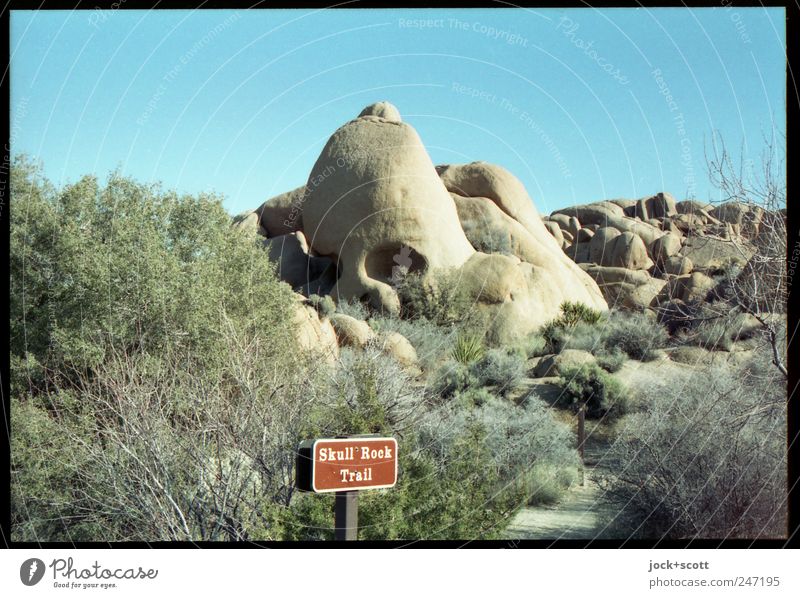 Skull Rock Nature Cloudless sky Bushes Desert Sign Signage Exceptional Authentic Fantastic naturally Uniqueness Whimsical Lanes & trails Erosion Similar English