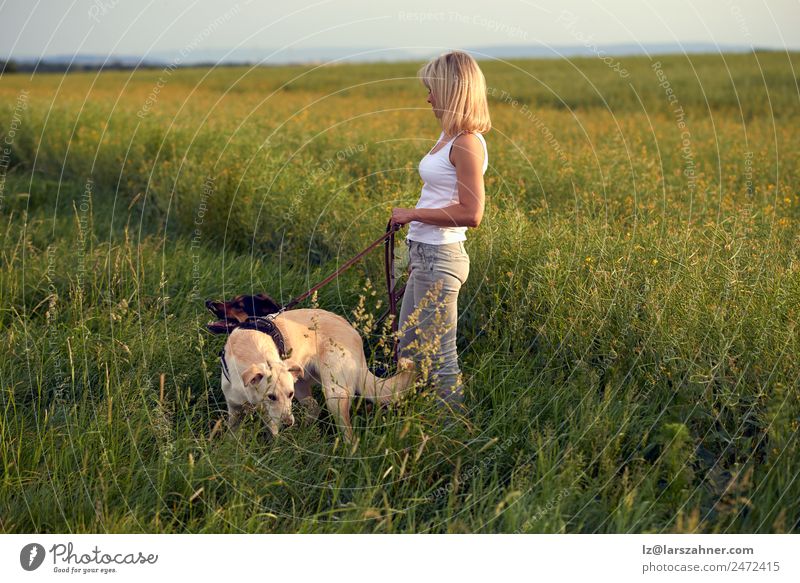 Blond woman walking her dogs at sunset Lifestyle Beautiful Summer Woman Adults Friendship 1 Human being 45 - 60 years Nature Landscape Animal Warmth Grass