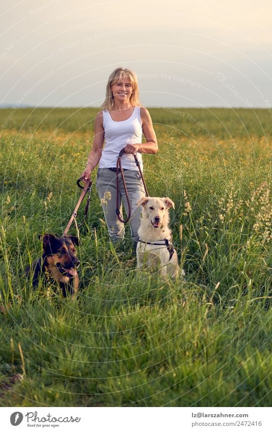 Attractive woman in a field with dogs at sunset Lifestyle Beautiful Summer Woman Adults Friendship 1 Human being 45 - 60 years Nature Landscape Animal Warmth