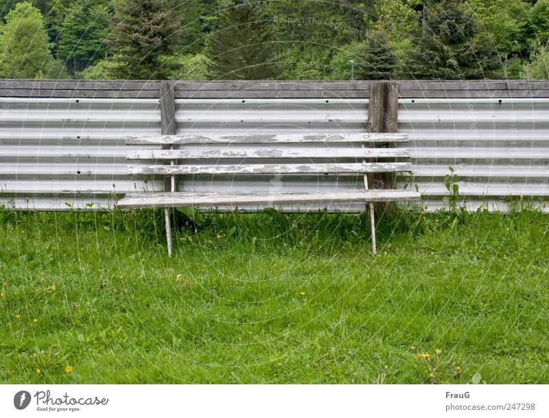 CAMOUFLAGE Summer Bench Tree Grass Bushes Fence Relaxation Sit Gray Derelict Colour photo Exterior shot