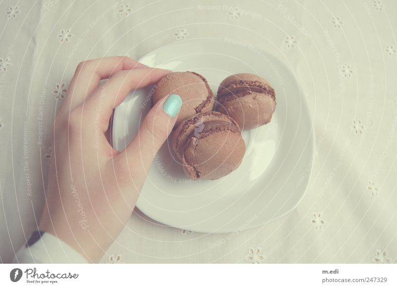 macarons Candy Chocolate Hand Fingers To hold on Nail polish Turquoise Interior shot Day