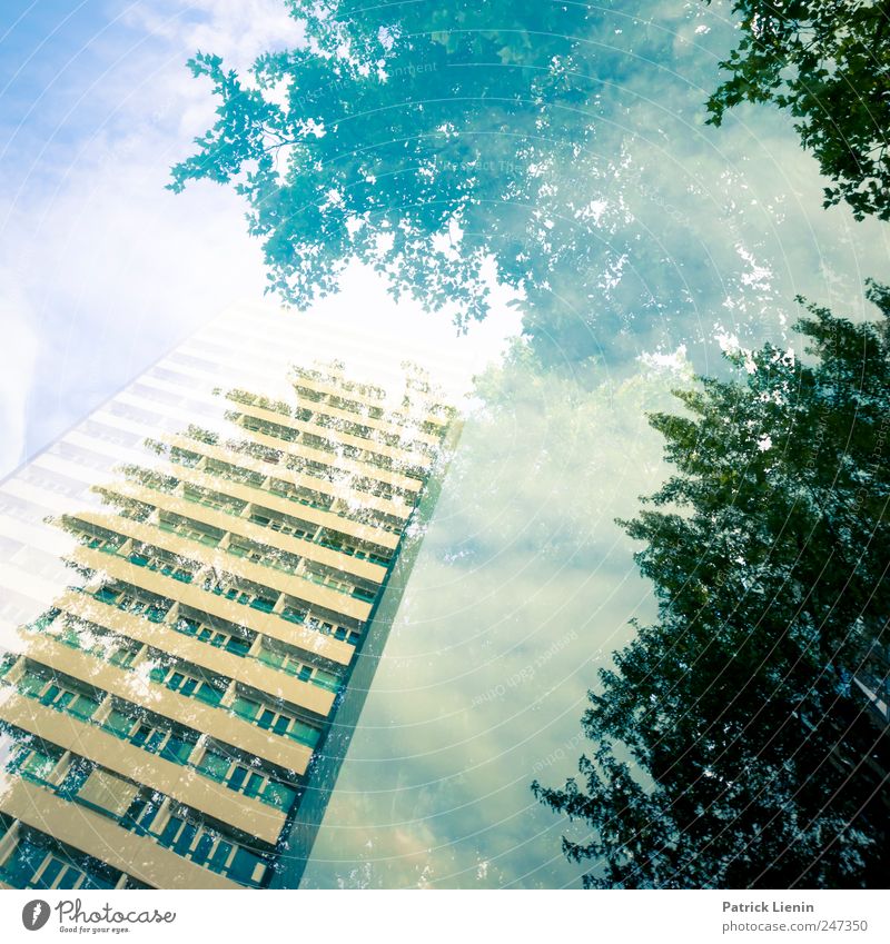 parallel worlds Environment Nature Landscape Elements Sky Clouds Weather Tree Forest Town House (Residential Structure) High-rise Manmade structures Building