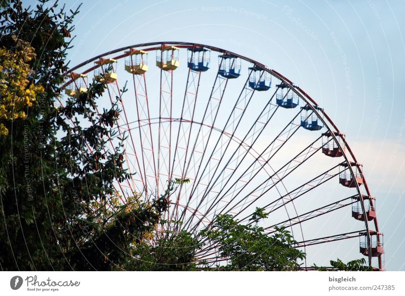 Ferris wheel Amusement Park Tree Historic Funny Blue Joy Sky Colour photo Exterior shot Deserted Day Light