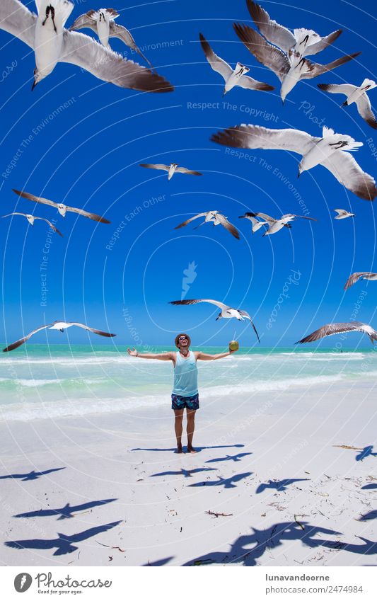 Traveler on the beach surrounded by seagulls Lifestyle Exotic Happy Leisure and hobbies Adventure Freedom Summer Sun Beach Human being Homosexual Man Adults 1