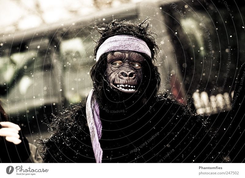 Planet of the Apes Carnival Human being 1 Observe Freeze Exceptional Crazy Joy Carnival costume monkey costume Mask Subdued colour Exterior shot Day Contrast
