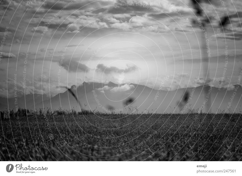 something is about to happen Landscape Sky Clouds Climate Climate change Weather Storm Field Mountain Exceptional Threat Dark Grain field Black & white photo