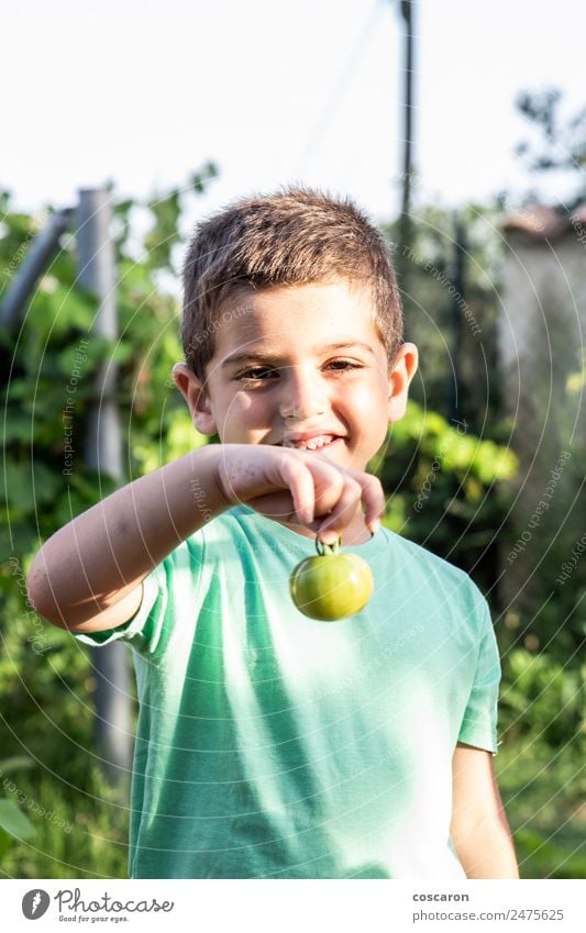 Little boy showing a green tomato Vegetable Happy Summer Garden Child Gardening Human being Boy (child) Family & Relations Infancy Nature Plant Leaf Growth
