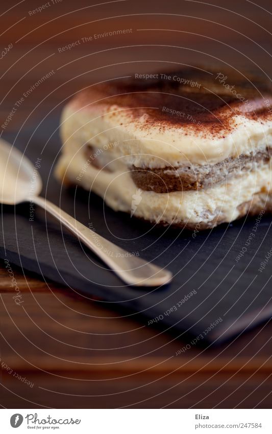 A piece of tiramisu To have a coffee Spoon cute Dessert Delicious Chocolate To enjoy Brown Dish Creamy Deserted Copy Space top Shallow depth of field slice