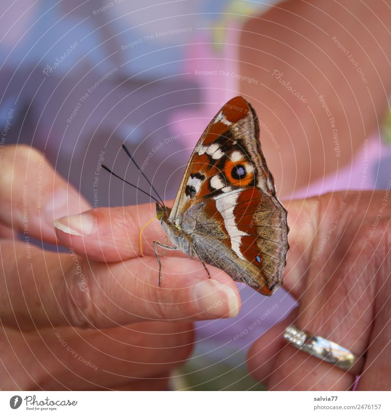 Strange finger instead of flower. Skin Fingers 1 Human being Nature Animal Wild animal Butterfly Insect Esthetic Cute Positive Multicoloured Trust
