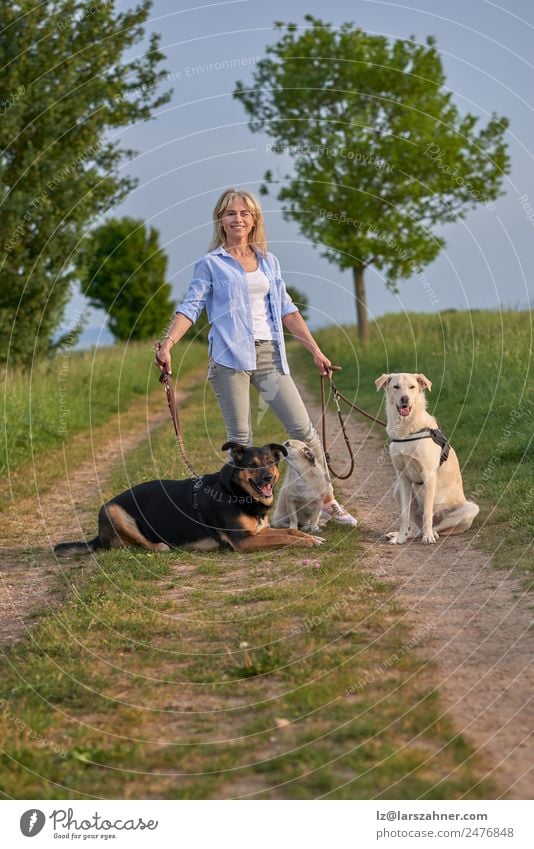 Attractive womanon a rural path with dogs at sunset Lifestyle Beautiful Summer Woman Adults Friendship 1 Human being Nature Landscape Animal Warmth Blonde Pet