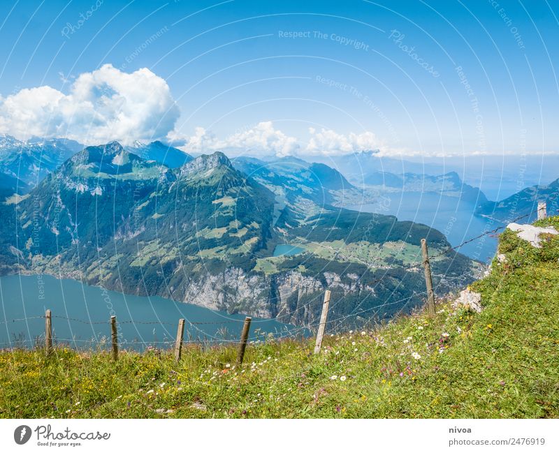 View from Stoos to Lake Lucerne Hiking Environment Nature Landscape Plant Animal Elements Earth Sky Clouds Summer Climate Beautiful weather Tree Grass Mountain