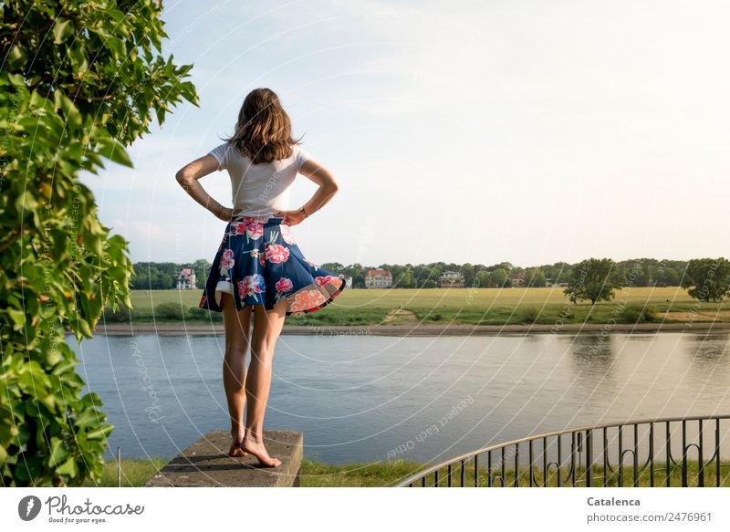 On the Elbe V,young woman on the Elbe river Feminine Young woman Youth (Young adults) 1 Human being Landscape Sky Clouds Summer Beautiful weather Tree Grass