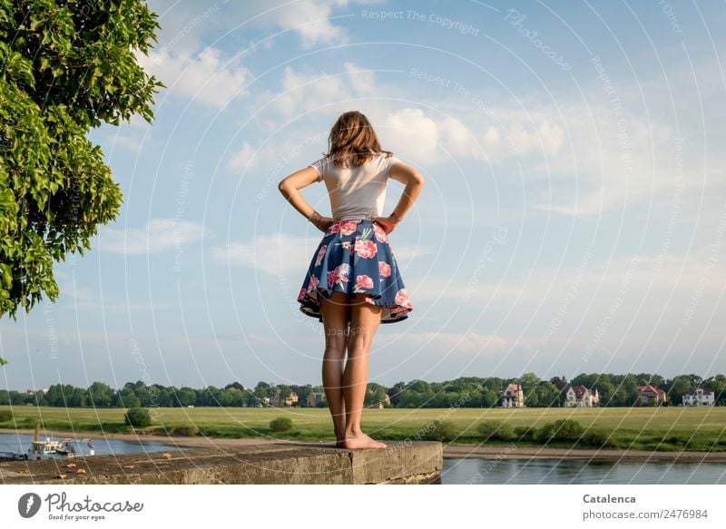 On the Elbe Feminine Young woman Youth (Young adults) 1 Human being Nature Landscape Sky Clouds Summer Beautiful weather Tree Grass Park Meadow River bank