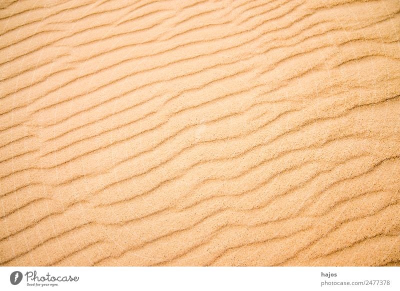 Sandy beach with lines Summer Beach Tourism Pattern Undulation wavy lines full-frame image Copy Space Expressionless Nature reserve background Vacation & Travel