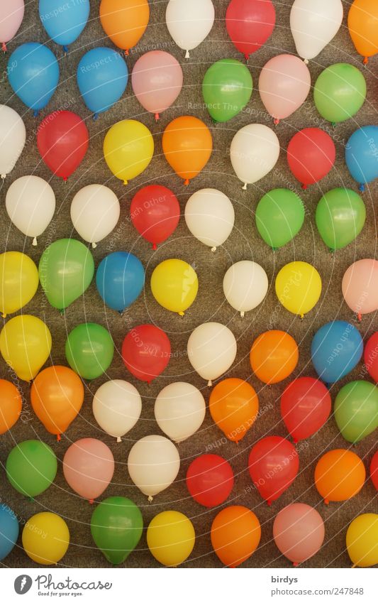 many colorful balloons on the wall of a shooting gallery Balloon balloons only Children's game Feasts & Celebrations Fairs & Carnivals funfair Arranged Many