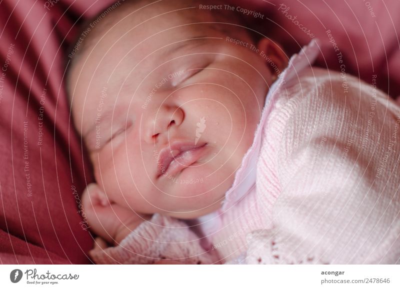 Nice Newborn asleep peacefully Lifestyle Beautiful Face Human being Feminine Child Baby Girl Infancy 1 0 - 12 months Sleep Emotions Safety Protection