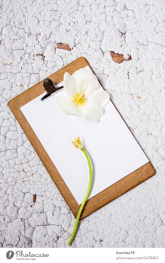 Clipboard with flowers on white background Lifestyle Style Design Valentine's Day Science & Research Work and employment Office work Flower Paper Love White