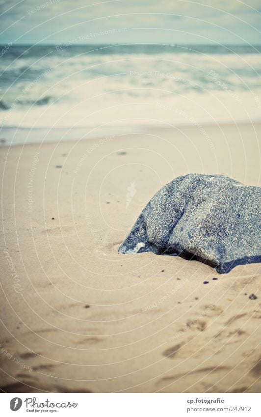 A little stone in the surf Landscape Coast Beach North Sea Denmark Natural Footprint Day Shallow depth of field