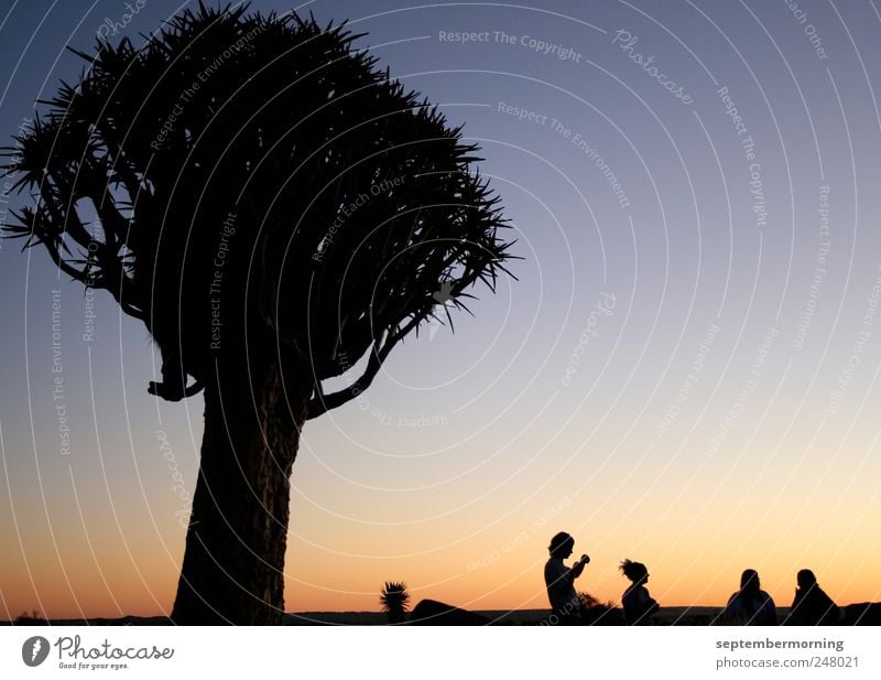 shadow play Vacation & Travel Human being 4 Tree Relationship Stagnating Colour photo Exterior shot Twilight Light Shadow Contrast Silhouette Sunrise Sunset