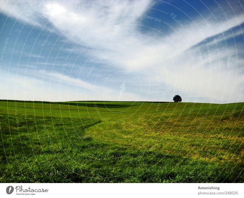 Alone Environment Nature Landscape Plant Earth Air Sky Clouds Summer Weather Beautiful weather Grass Meadow Hill Blue Green White Grass surface mill district