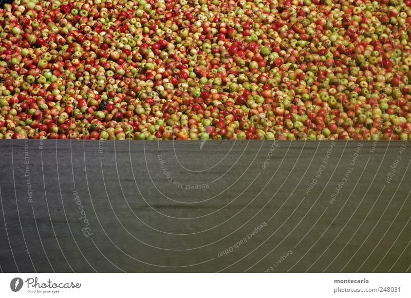 Apples for everyone. Food Fruit Juicy Multicoloured Gray Green Red Colour photo Exterior shot Copy Space bottom Day Sunlight Long shot Looking into the camera
