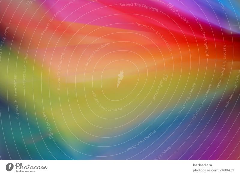 Rainbow Colors | A Cauldron Colored Playing Living or residing Decoration Pinwheel Movement Rotate Speed Multicoloured Moody Joy Colour Leisure and hobbies Art
